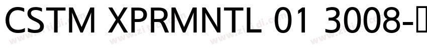 CSTM XPRMNTL 01 3008字体转换